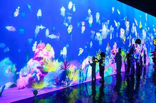 搜狗截图24年03月05日1127_8.jpg
