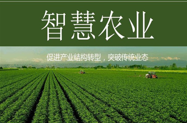 搜狗截图23年11月15日1355_26.jpg