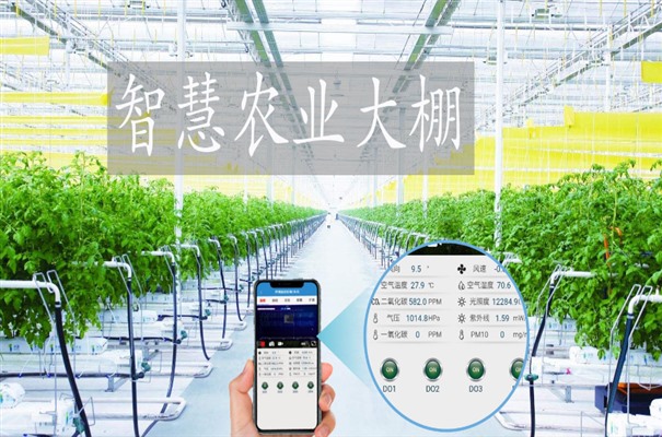 搜狗截图24年02月21日1317_16.jpg