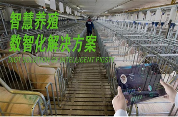 搜狗截图24年05月13日1126_9.jpg