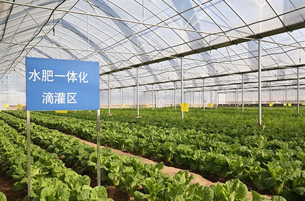 搜狗截图23年11月01日1420_22.jpg