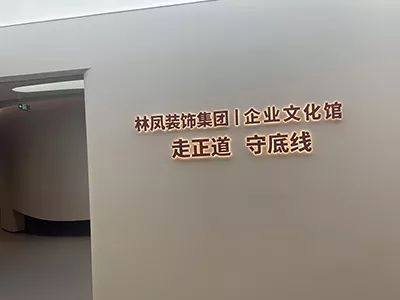 百变互动企业展厅案例_林凤装饰企业展厅案例图