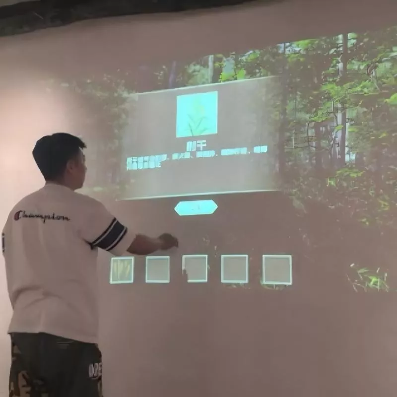 墙面投影互动