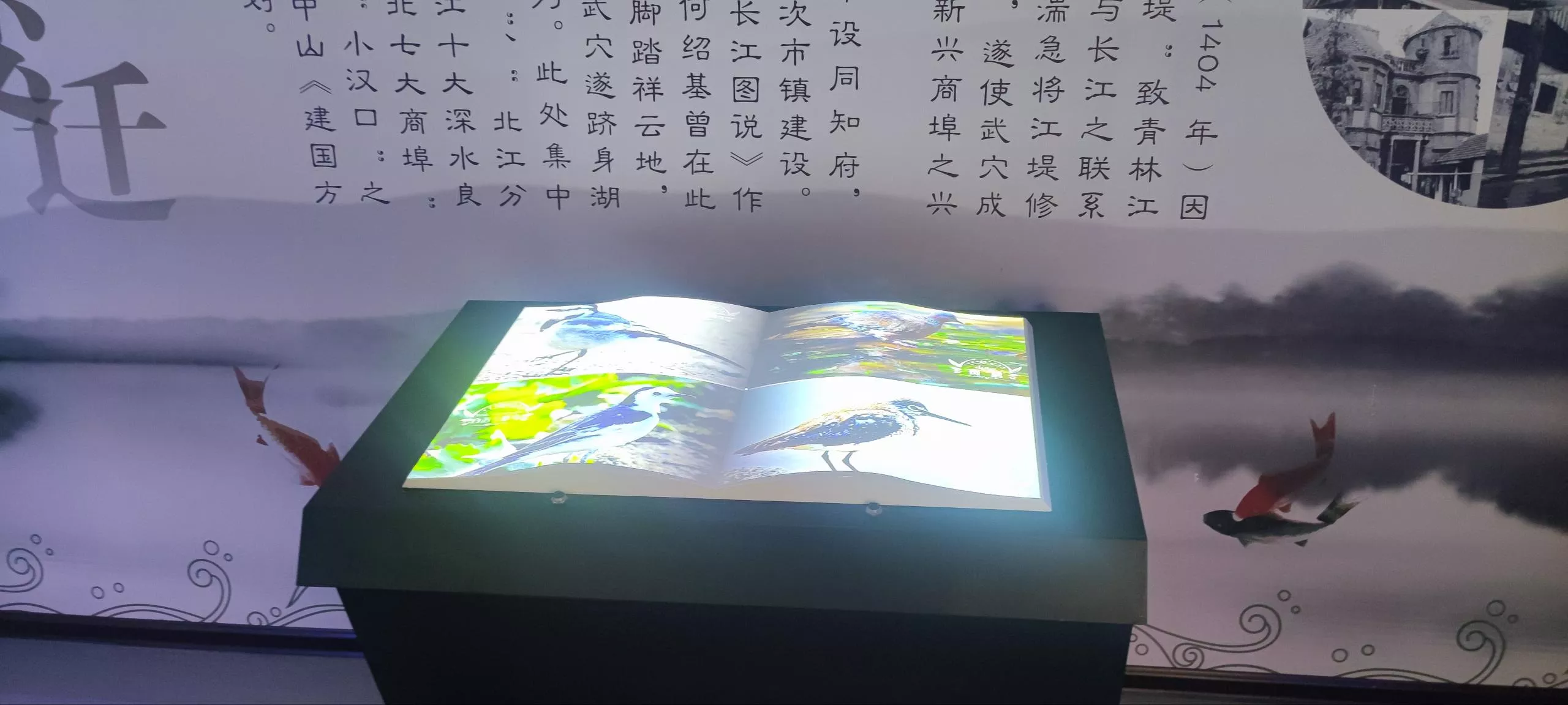 武山湖湿地公园展馆智能可视化中控系统-现场图