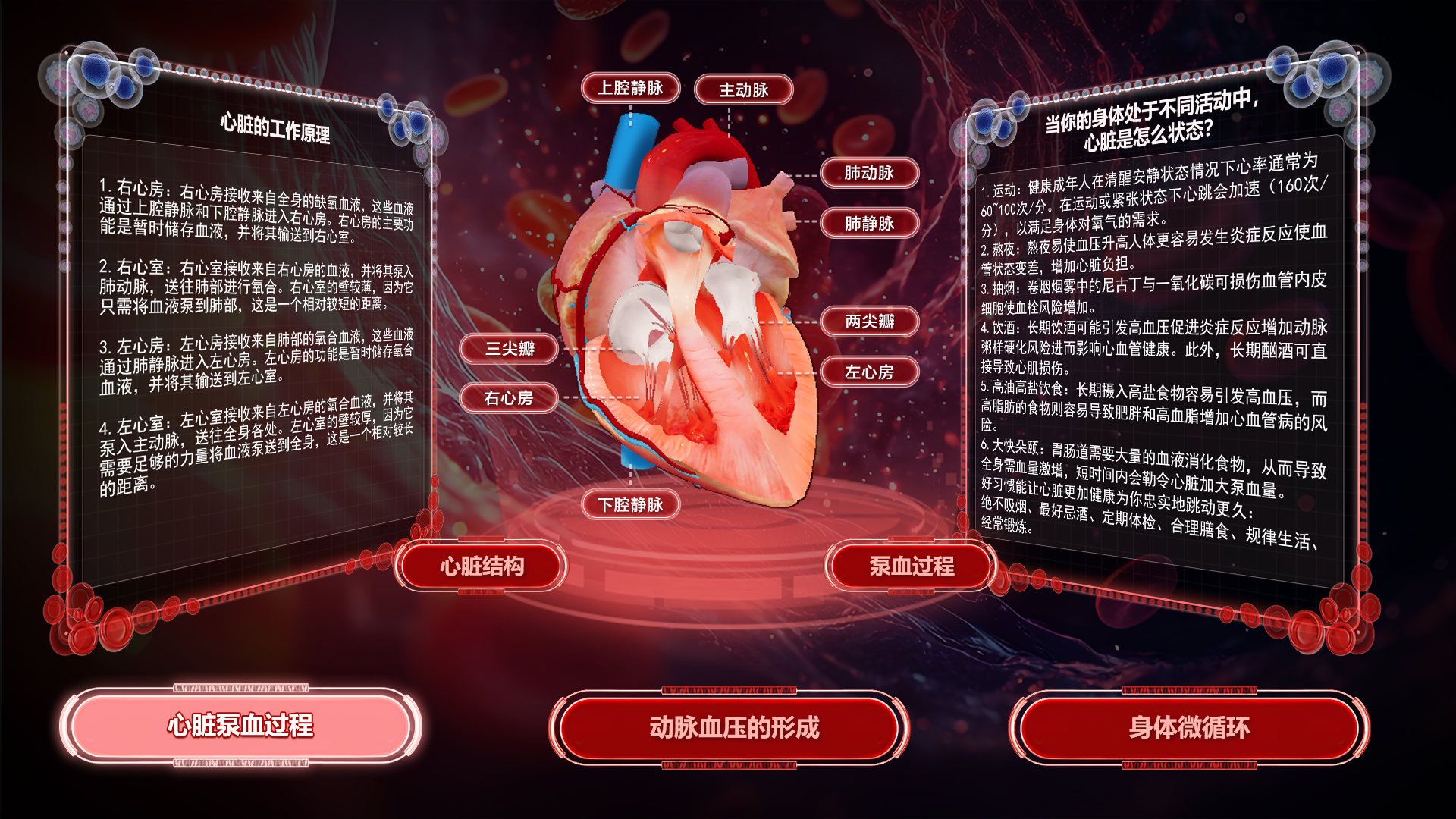 心脏泵血过程原理解析界面.png